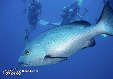 Photography by Johnny5