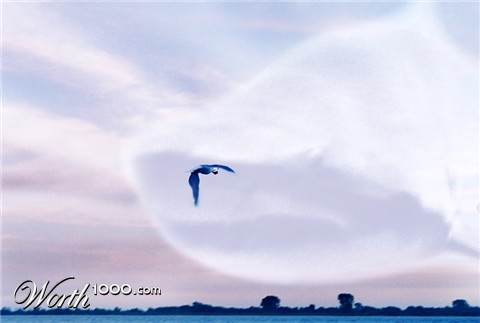 Photography by BabyGRL