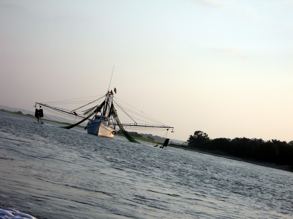 Fotografía por Gnat para DesignCrowd (Community Contests) | Diseño #9065361