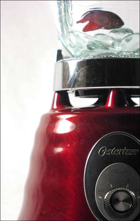 Photography by orrielflies for DesignCrowd (Community Contests) | Design #9065317