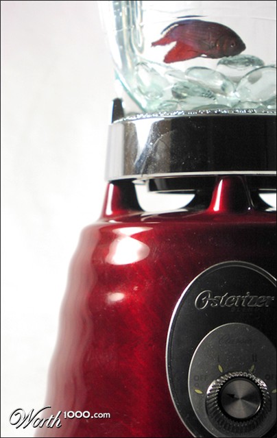 Photography by orrielflies