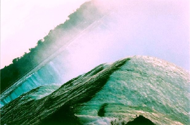 Photography by Isabella2006 for DesignCrowd (Community Contests) | Design #9065403