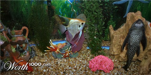 Photography by rdyamiphoto