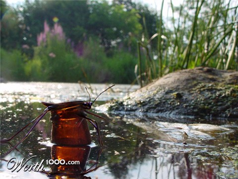 Photoshop Design by solocosmo