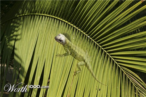 Photoshop Design by Paulabruann