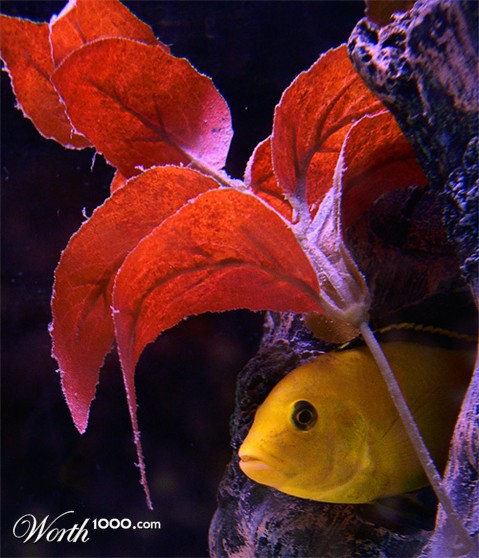 Photography by Scuzem