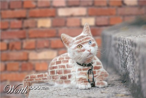 Photoshop Design by jacksonwagner