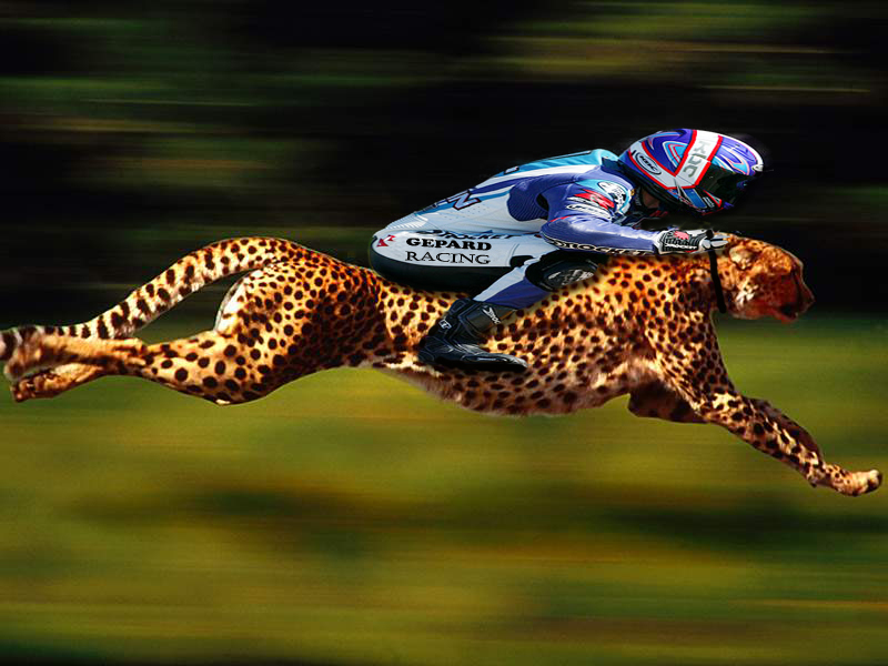 Photoshop Design by djod6367 for DesignCrowd (Community Contests) | Design #9074236