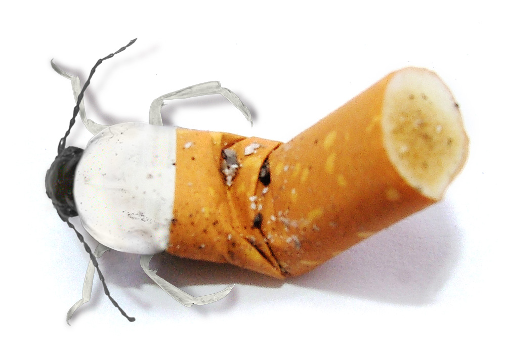 Photoshop Design by Skummelum for DesignCrowd (Community Contests) | Design #9073947