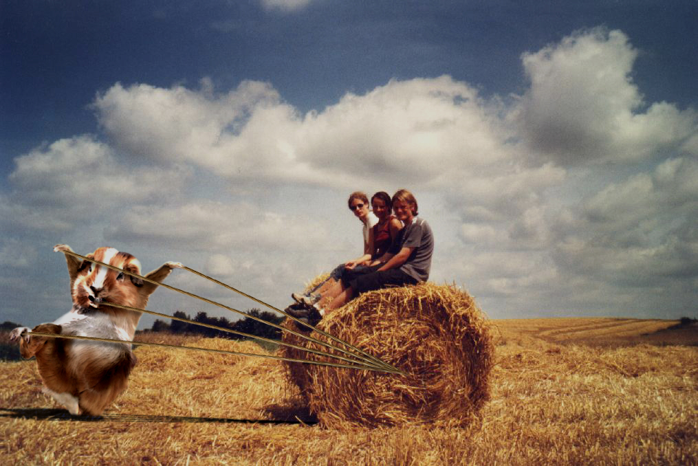 Photoshop Design by Ph0t0sHoPp3r for DesignCrowd (Community Contests) | Design #9074221