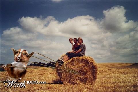 Photoshop Design by Ph0t0sHoPp3r