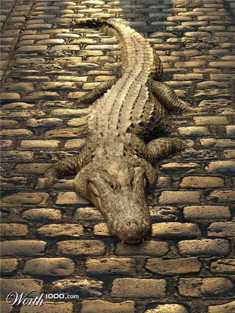 Photoshop Design by hotweaselsoup