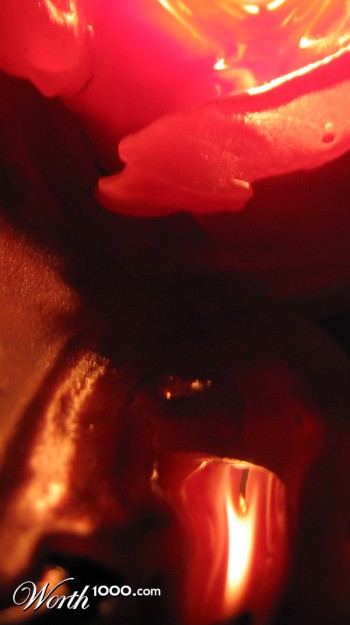 Photography by missyelle