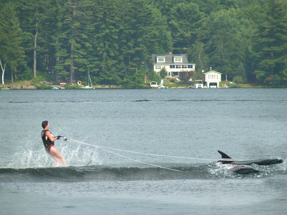 Design Photoshop par godzillatemple pour DesignCrowd (Community Contests) | Design #9074272