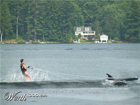 Photoshop Design by godzillatemple