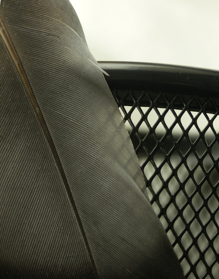 Photography by ruxa2na for DesignCrowd (Community Contests) | Design #9076314