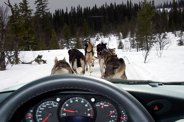 Diseño de Photoshop por reddeadeye para DesignCrowd (Community Contests) | Diseño #9074341