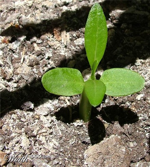 Photography by ginscambia