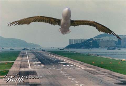 Photoshop Design by blousky