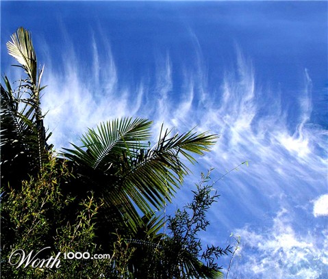 Photography by ozplasmic