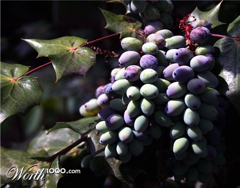 Photography by mare53