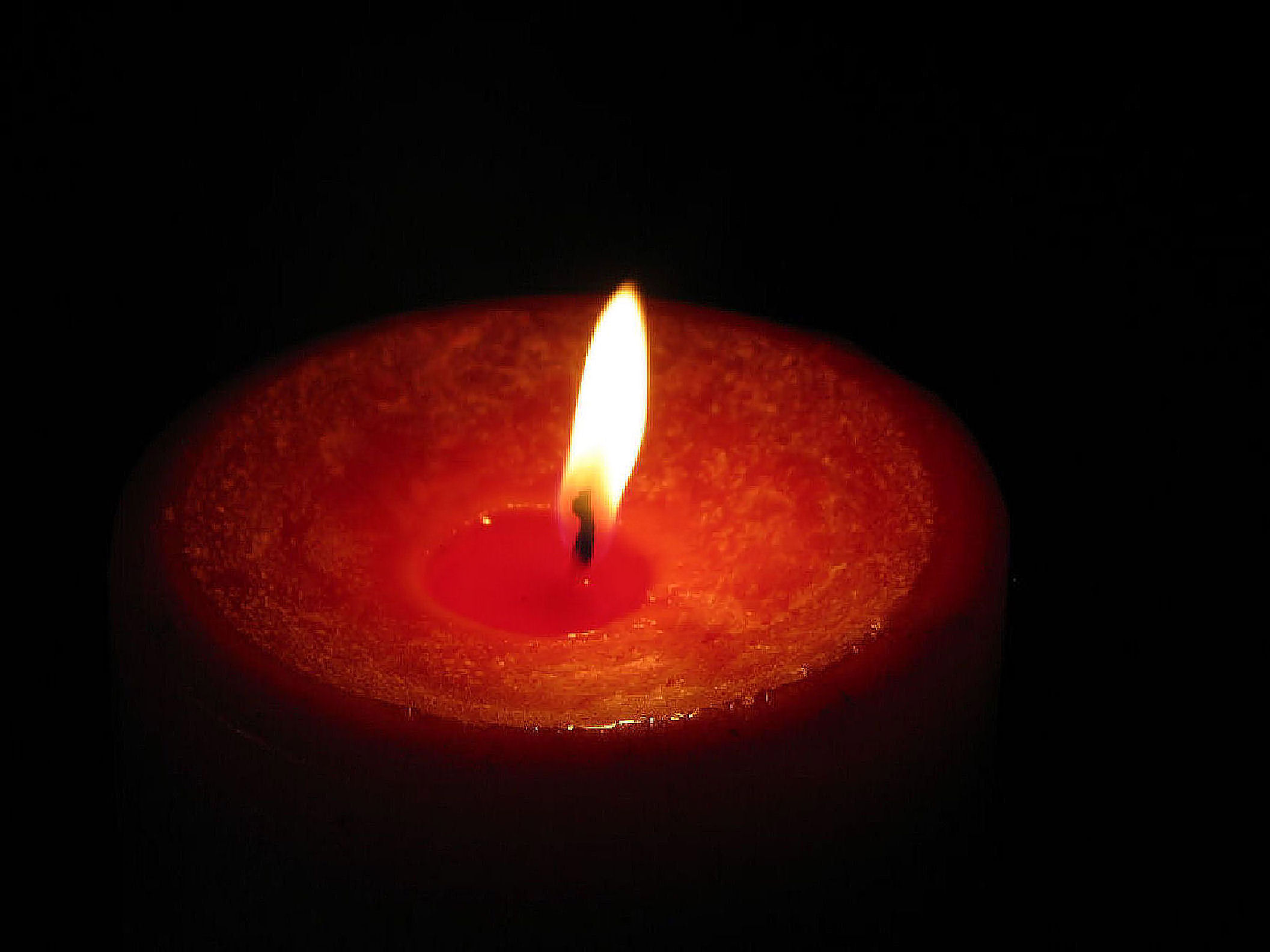 Photography by Suziecuchon for DesignCrowd (Community Contests) | Design #9078032