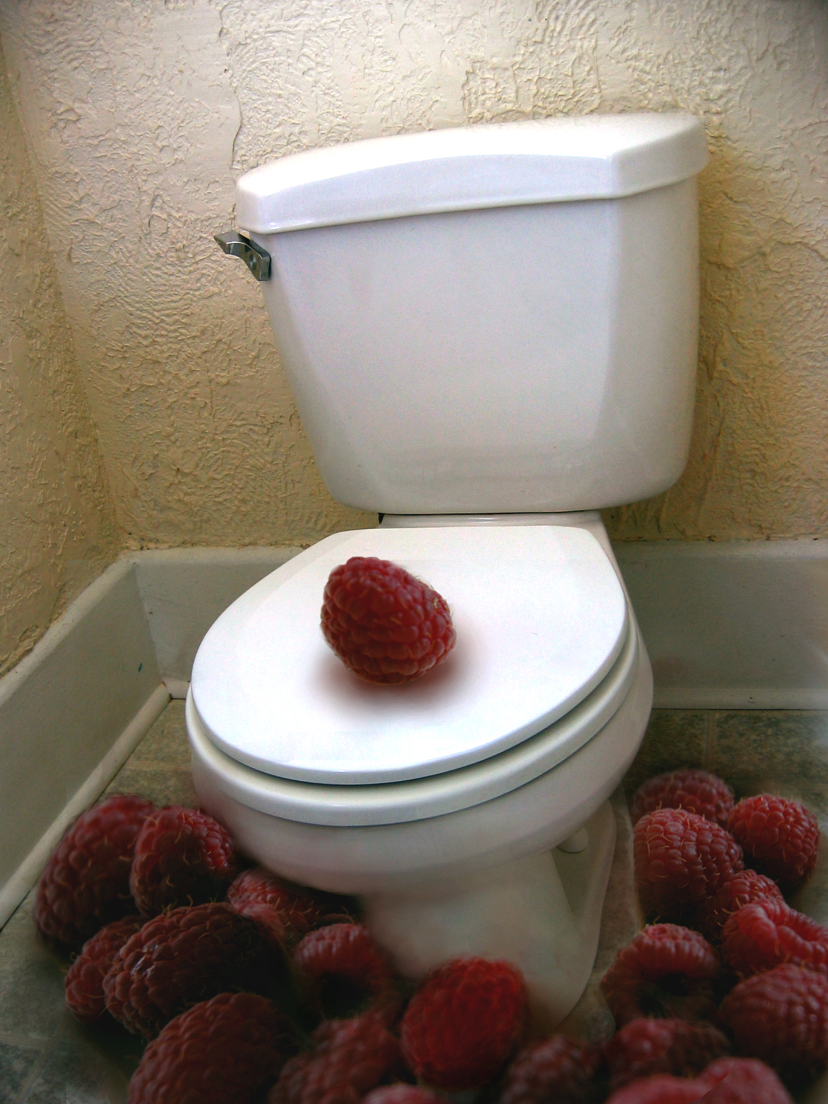 Photoshop Design by feebsicle for DesignCrowd (Community Contests) | Design #9075304