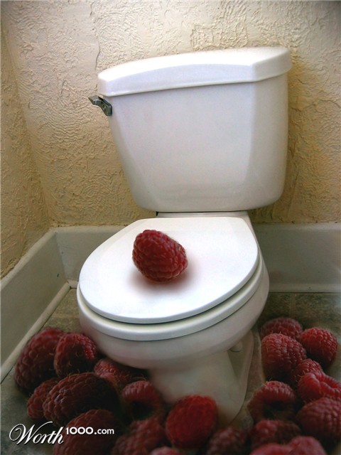 Photoshop Design by feebsicle