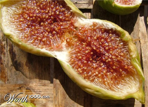 Photography by ginscambia