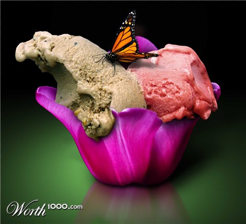 Photoshop Design by MrMouse