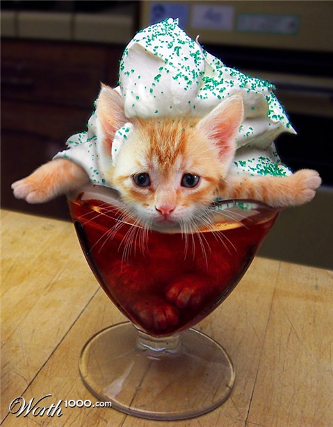 Photoshop Design by Nicky666