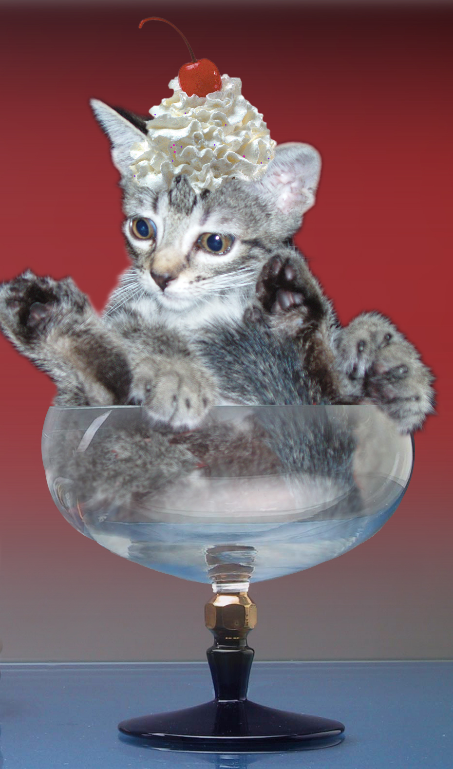 Design Photoshop par reneehiggs pour DesignCrowd (Community Contests) | Design #9075389