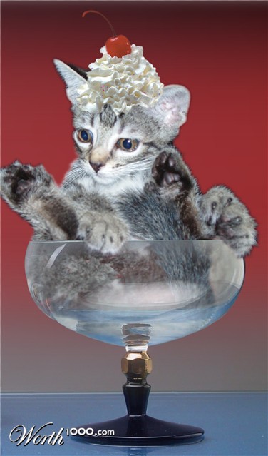 Photoshop Design by reneehiggs