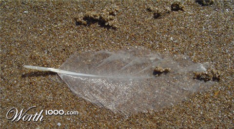 Photography by Flibble