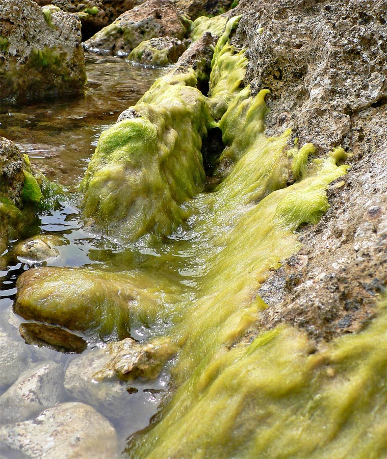 Photographie par jandreu pour DesignCrowd (Community Contests) | Design #9076379