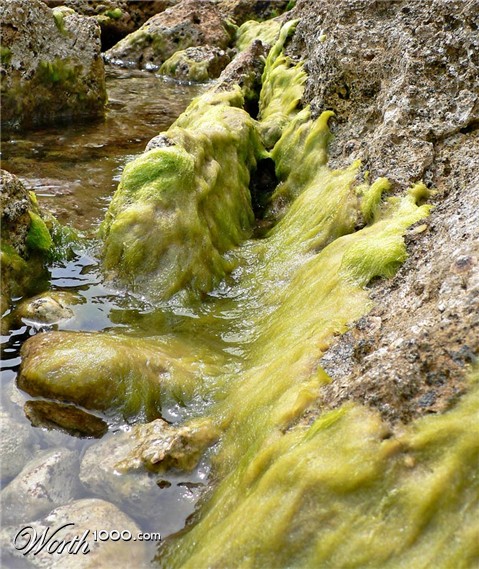 Photography by jandreu