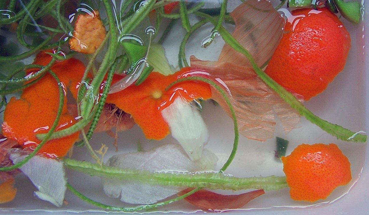 Photographie par TotalDomination pour DesignCrowd (Community Contests) | Design #9064236