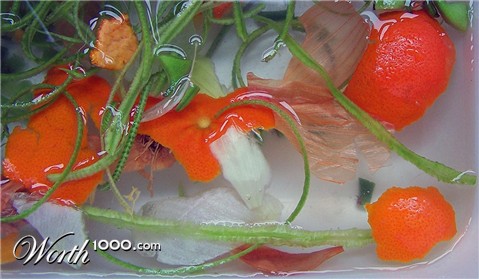 Photography by TotalDomination