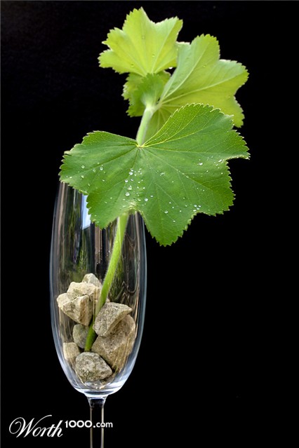 Photography by SigloV