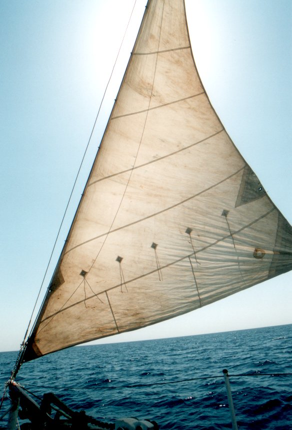 Fotografía por ennoia para DesignCrowd (Community Contests) | Diseño #9065059