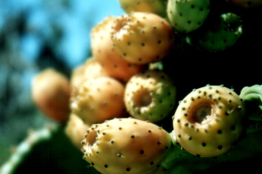 Fotografía por ennoia para DesignCrowd (Community Contests) | Diseño #9064233