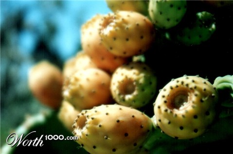 Photography by ennoia