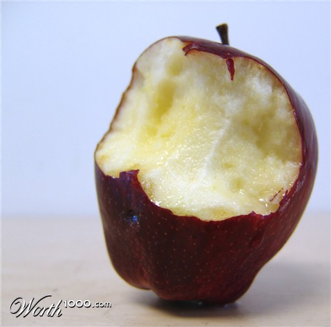 Photography by whlutz