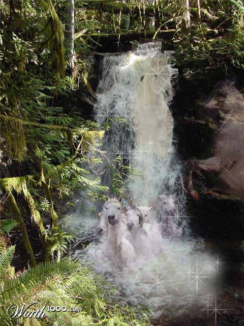 Photoshop Design by Freakychick