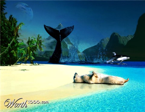 Photoshop Design by Gener8