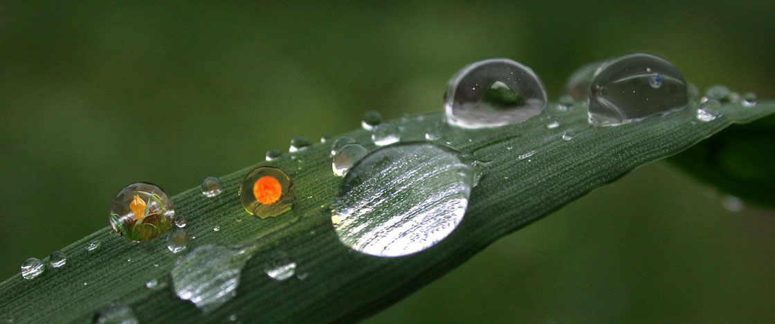 Photoshop Design by siraed for DesignCrowd (Community Contests) | Design #9074713