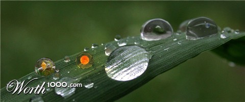 Photoshop Design by siraed