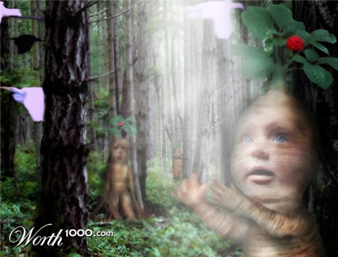 Photoshop Design by N1ghtsky