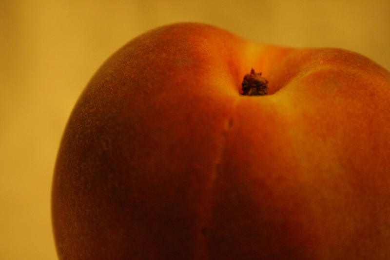 Photography by anviss for DesignCrowd (Community Contests) | Design #9064288