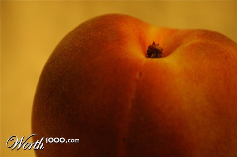 Photography by anviss